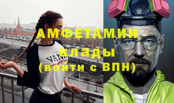 твердый Шадринск