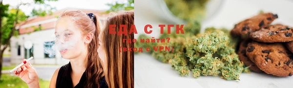 твердый Шадринск