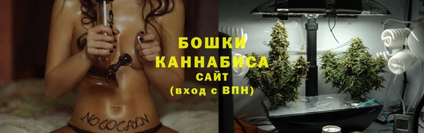 твердый Шадринск