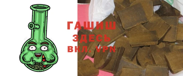 твердый Шадринск
