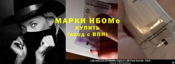 твердый Шадринск