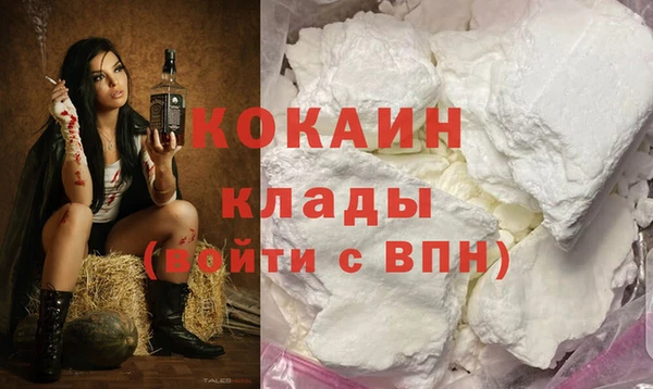 твердый Шадринск