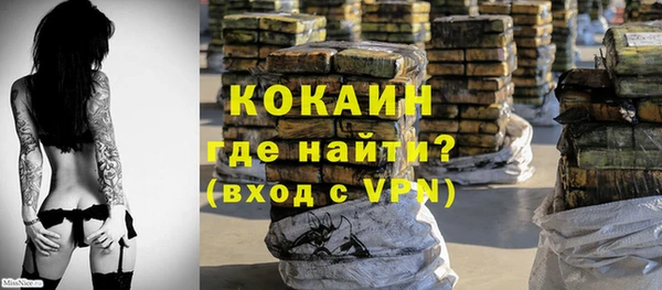 твердый Шадринск