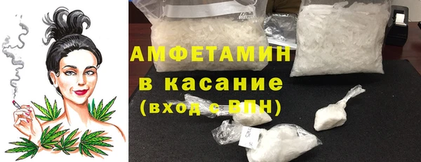 твердый Шадринск