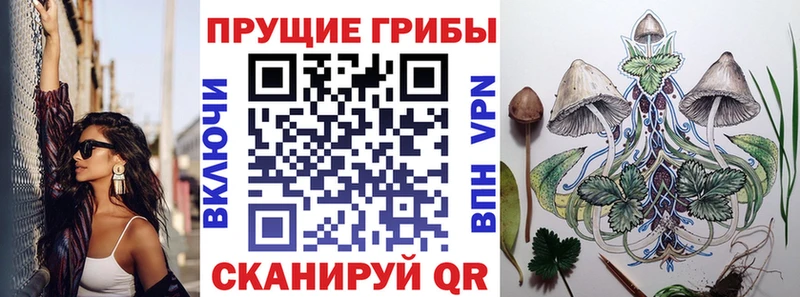 Галлюциногенные грибы Cubensis  ОМГ ОМГ ТОР  Александровск 