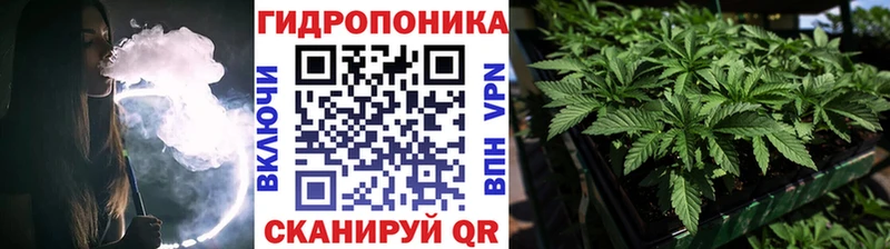 Конопля Amnesia Александровск