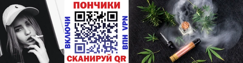 Бошки Шишки гибрид  наркота  Александровск 